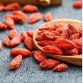 venta caliente goji berry plantas goji Berry fruit